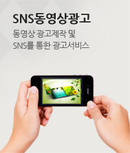 SNS동영상광고